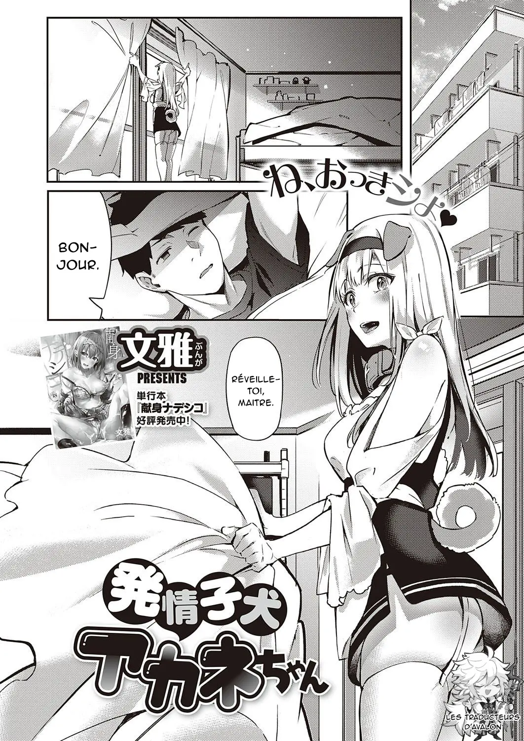 Hatsujou Koinu Akane-chan